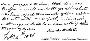 Charles Waterton (o naturalista americano) de English School