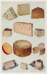 Cheddar; Gorgonzola; Double Gloster; Parmesão; Gruyère; Roquefort; Dutch; Stilton; Camembert; St Ives; Creme (litografia a cores) de English School