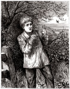 Criança assustada por uma abelha - ilustração, início do século XX. de English School