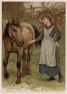 Dobbin inteligente (cromolito) de English School