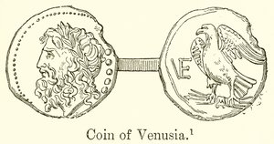 Moeda de Venusia de English School