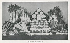 Coleção de vegetais de English School