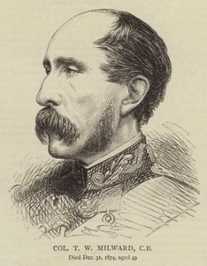 Coronel T W Milward, CB (gravura) de English School