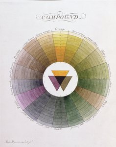 Composto (gravura a cores) de English School