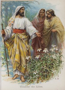 Considere os Lírios (chromolitho) de English School