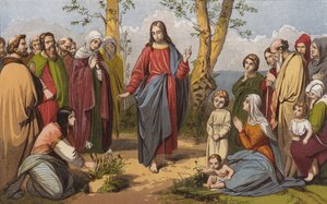 "Considere os lírios como crescem" (chromolitho) de English School