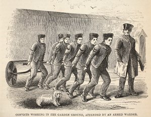 Condenados a trabalhar no terreno do jardim, com a presença de um guarda armado, ilustração das Prisões Penais de Londres e Cenas da Vida na Prisão de Henry Mayhew e John Binny, pub. 1862 de English School
