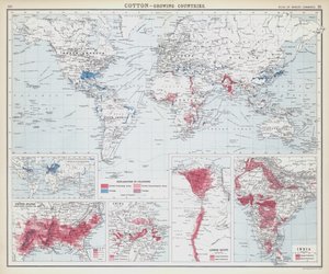 Algodão, países em crescimento (litografia a cores) de English School