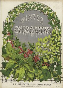 Capa de Evergreens de Inverno