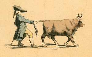 Vaca puxando um homem de English School