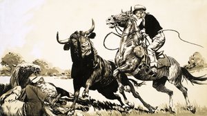 Cowboys no outback australiano tentam amarrar um touro de English School