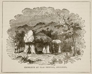 Cromeleque para Plas Newydd, Anglesey de English School