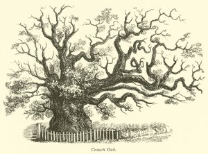 Crouch Oak de English School