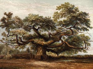 Crouch Oak, Addlestone de English School