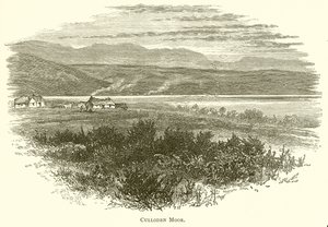 Culloden Moor