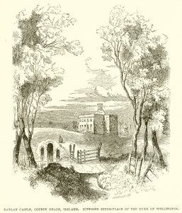 Castelo de Dangan, país Meath, Irlanda. Suposto Local de Nascimento do Duque de Wellington de English School