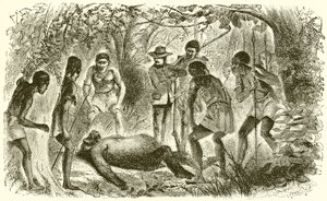 Morte de Du Chaillus primeiro gorila de English School