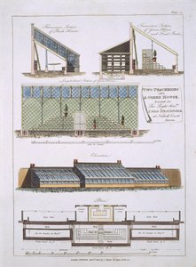 Design para dois peacheries e uma casa verde, 1806 de English School