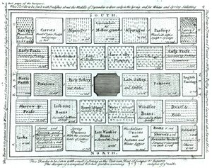 Projeto para um jardim de cozinha concluído, de novos princípios de jardinagem, por Betty Langley, 1726 de English School