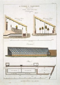 Design para um Pinery e Orangery em Teddington, 1806 de English School
