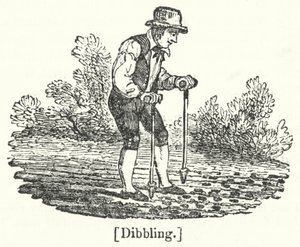 Dibbling de English School