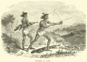 Escavadores em terra de English School
