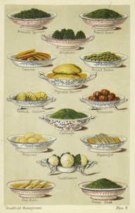 Pratos de legumes de English School