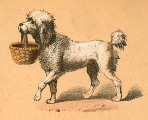 Cão com cesto de English School