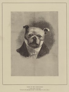 Dogs of the Corporation (gravação) de English School
