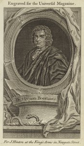 Dr. Herman Boerhaave de English School