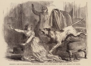 Caso terrível de hidrofobia em Saratoga, um cão de grande porte ataca uma senhora que estava a vestir-se para jantar (gravura) de English School