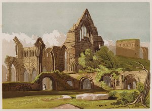 Abadia de Dryburgh (cor litho) de English School