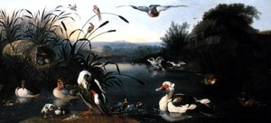 Patos sobre um lago (óleo sobre tela) de English School