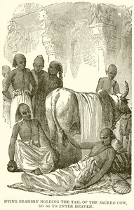 Brâmane moribundo segurando a cauda da Vaca Sagrada, para entrar no Paraíso de English School