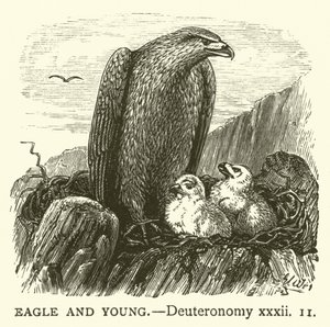Eagle and Young, Deuteronómio, xxxii de English School