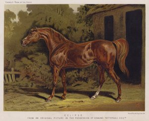Eclipse (cor litho) de English School