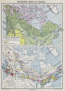 Mapas económicos do Canadá (litografia a cores) de English School