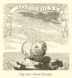Elena Piscopia de English School