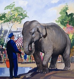 Elefante Guardião de English School