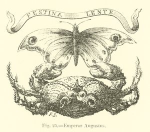 Imperador Augusto de English School