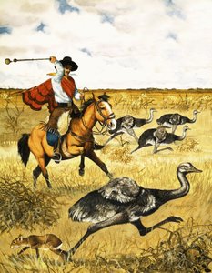 Caça Emu de English School