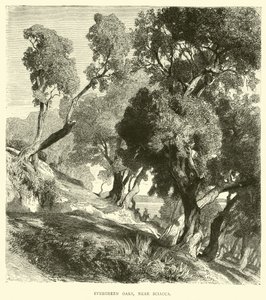 Evergreen Oaks, perto de Sciacca de English School