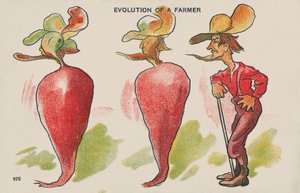 Evolução de um agricultor (litografia a cores) de English School
