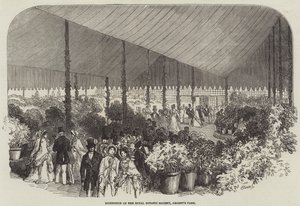 Exposição da Royal Botanic Society, Regent
