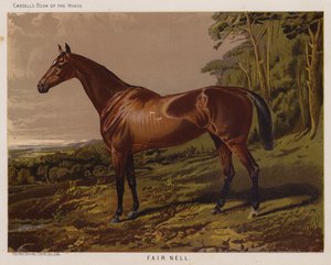 Fair Nell (cor litho) de English School