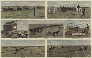 Agricultura nas planícies da América do Norte