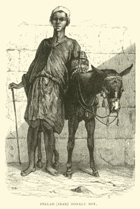 Fellah, árabe; menino burro de English School