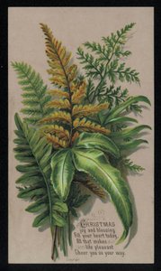 Arranjo de folhas festivas, cartão de Natal (chromolitho) de English School