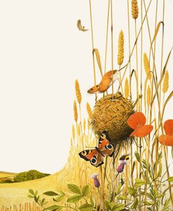 Mouse de campo e borboleta