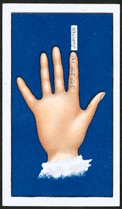 Primeiro Dedo (cor litho) de English School
